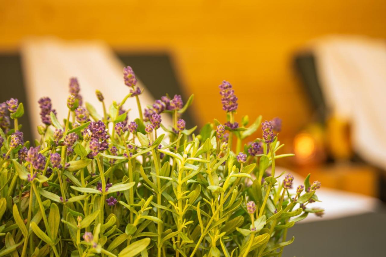 Wellnessoase Mitten In Triberg Triberg im Schwarzwald Exterior foto